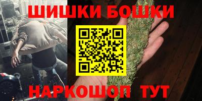 мдпв Можга