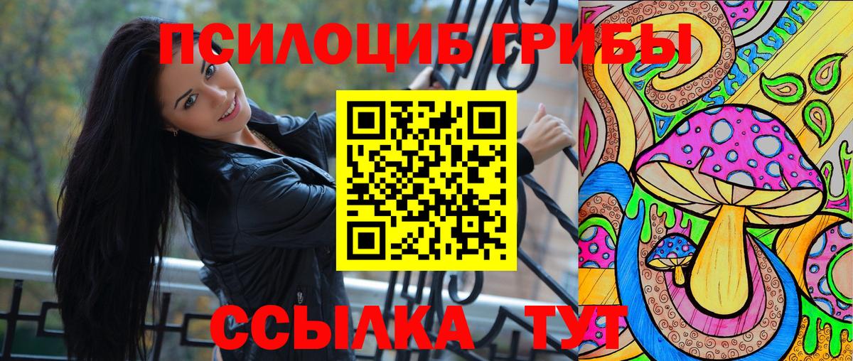 Псилоцибиновые грибы Cubensis  Вход с VPN  купить наркотик  Дедовск  Псилоцибиновые грибы GOLDEN TEACHER 
