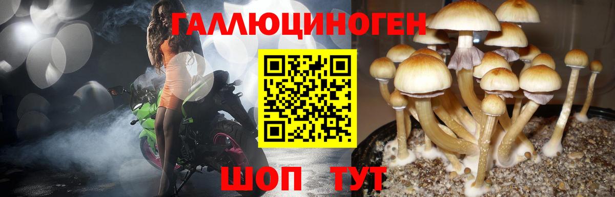 Галлюциногенные грибы Magic Shrooms Дедовск