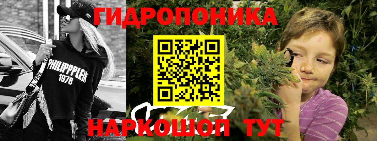 Шишки марихуана THC 21% Дедовск